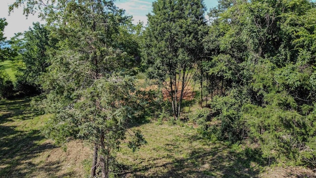 0 Harper Valley Rd, Luray, VA 22835 - photo 13