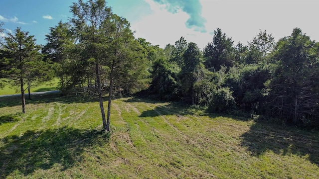 0 Harper Valley Rd, Luray, VA 22835 - photo 12