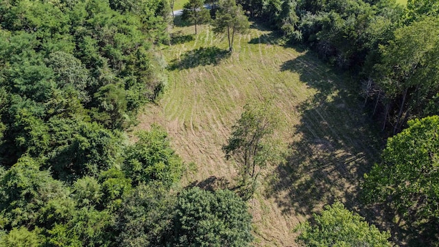 0 Harper Valley Rd, Luray, VA 22835 - photo 15