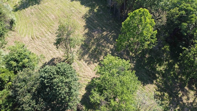 0 Harper Valley Rd, Luray, VA 22835 - photo 14