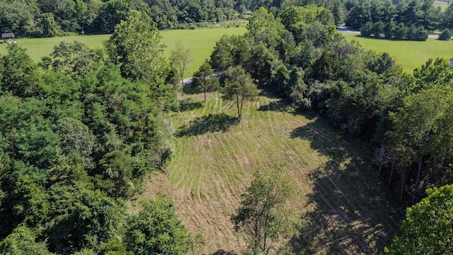 0 Harper Valley Rd, Luray, VA 22835 - photo 16