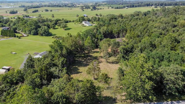 0 Harper Valley Rd, Luray, VA 22835 - photo 11