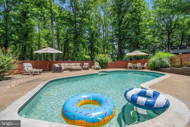 13013 Alum Springs Rd, Culpeper, VA 22701 - photo 62