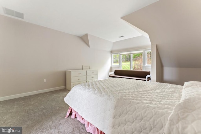 8300 Falcon Glen Rd, Warrenton, VA 20186 - carpeted bedroom with lofted ceiling, baseboards, and visible vents