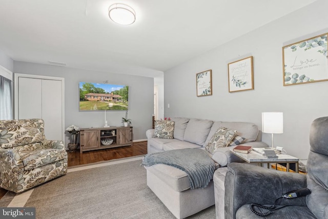  - living room featuring wood finished floors