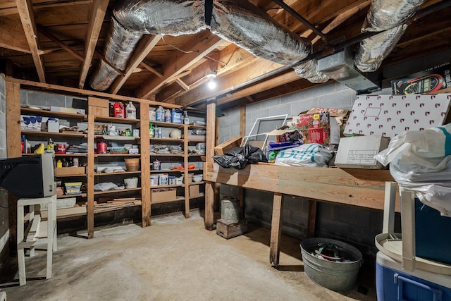 205 Lewis Ave, Elkton, VA 22827 - view of storage