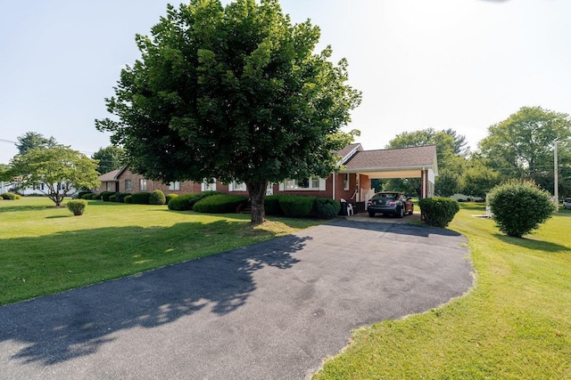 205 Lewis Ave, Elkton, VA 22827 - obstructed view of property with asphalt driveway, a front yard, an attached carport, and brick siding