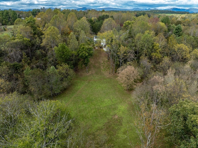 153 Heritage Hill Ln, Rochelle, VA 22738 - drone / aerial view featuring a view of trees