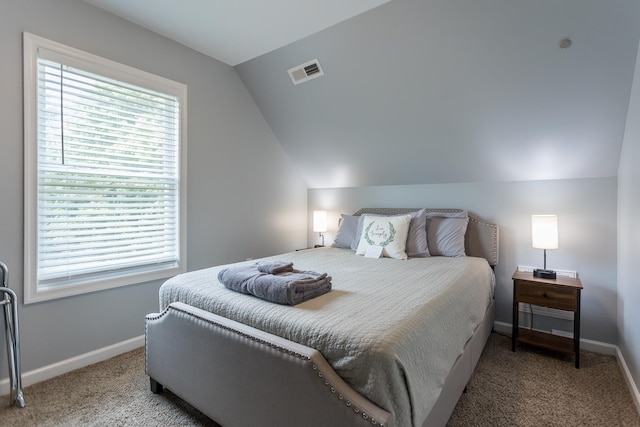 810 Denver Ave, Shenandoah, VA 22849 - photo 29