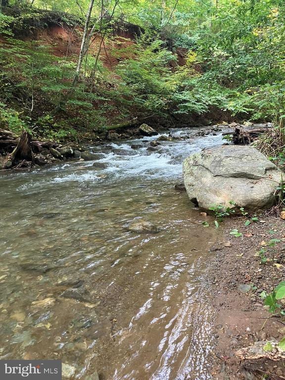 203 Timbers, Timbers, VA 22967 - view of local wilderness