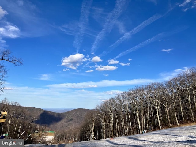 203 Timbers, Timbers, VA 22967 - view of mountain backdrop