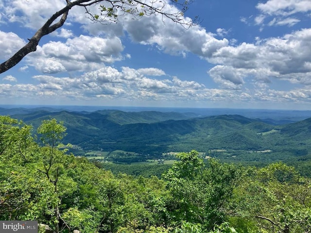 203 Timbers, Timbers, VA 22967 - mountain view