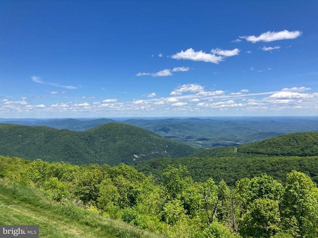 203 Timbers, Timbers, VA 22967 - view of mountain backdrop featuring a heavily wooded area