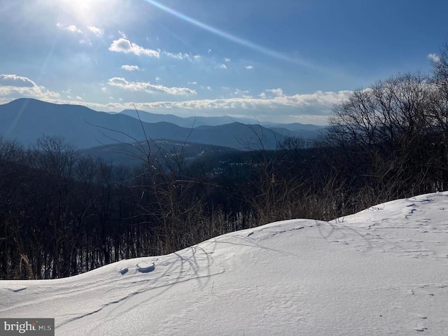 203 Timbers, Timbers, VA 22967 - view of mountain background