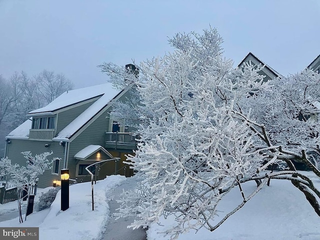 203 Timbers, Timbers, VA 22967 - view of snowy exterior