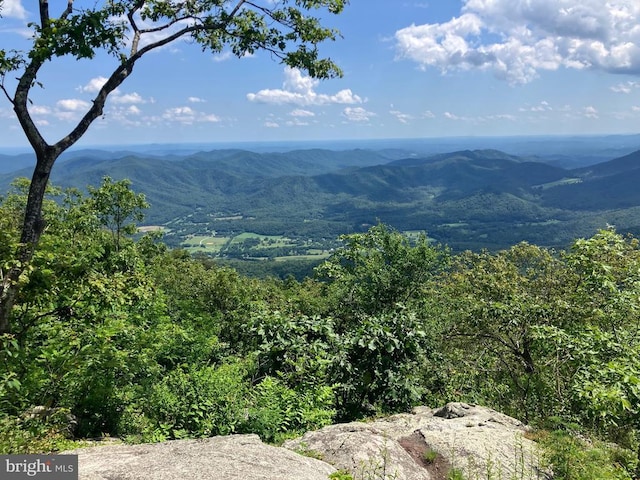203 Timbers, Timbers, VA 22967 - view of mountain backdrop