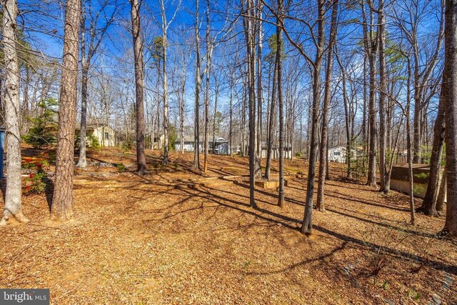 203 Birdie Rd, Locust Grove, VA 22508 - view of yard