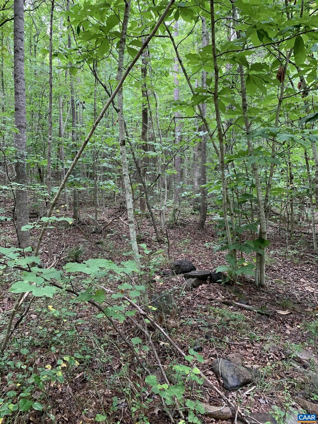 Glade Rd, Schuyler, VA 22969 - photo 1
