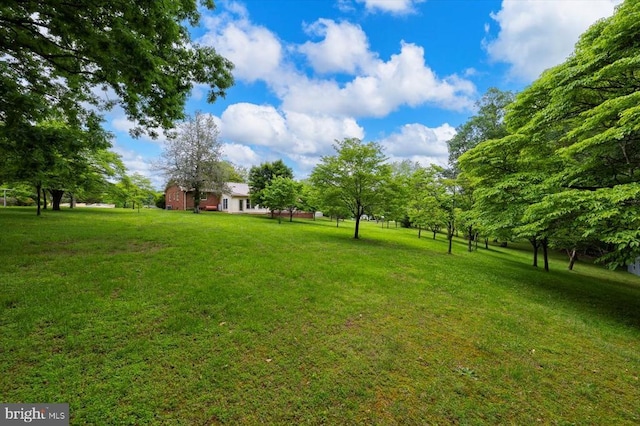 5524 Hickory Ridge Rd, Spotsylvania, VA 22551 - view of green lawn
