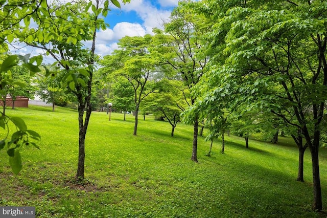 5524 Hickory Ridge Rd, Spotsylvania, VA 22551 - view of grassy yard