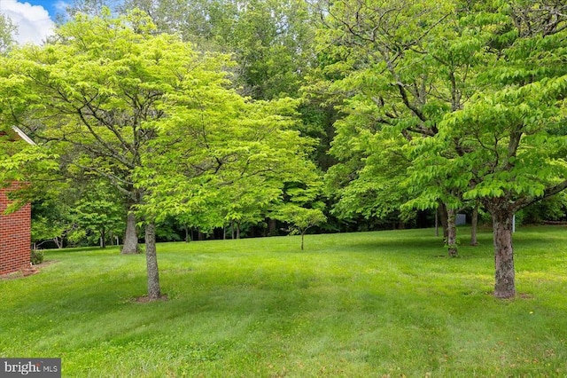 5524 Hickory Ridge Rd, Spotsylvania, VA 22551 - view of grassy yard