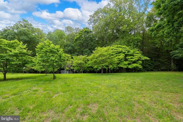 5524 Hickory Ridge Rd, Spotsylvania, VA 22551 - view of green lawn with a view of trees
