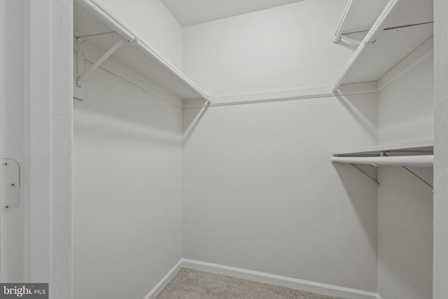 1132 Amber Ridge Rd, Charlottesville, VA 22901 - spacious closet featuring carpet floors