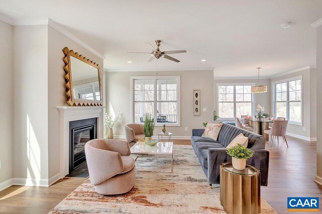 34E Fowler St, Charlottesville, VA 22901