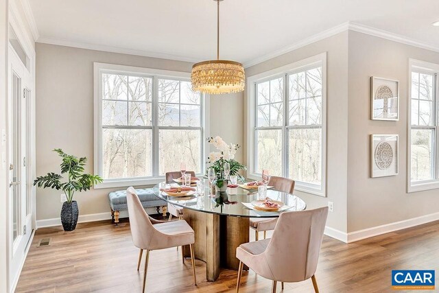 34E Fowler St, Charlottesville, VA 22901
