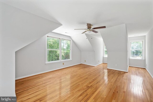 14807 Spotswood Furnace Rd, Fredericksburg, VA 22407 - photo 54