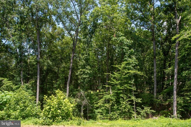 14807 Spotswood Furnace Rd, Fredericksburg, VA 22407 - photo 71