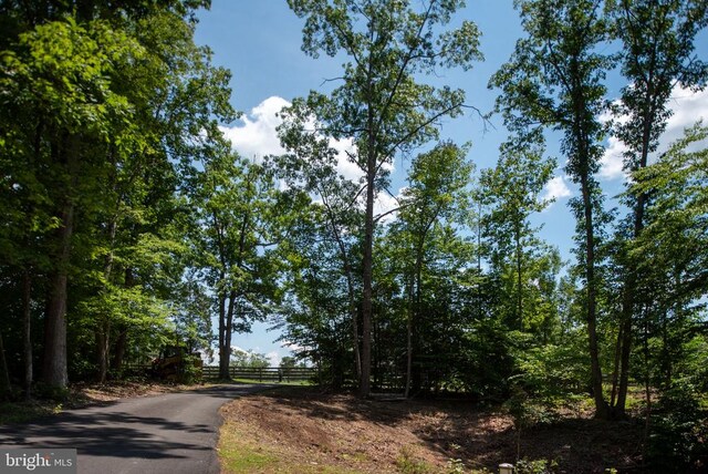 14807 Spotswood Furnace Rd, Fredericksburg, VA 22407 - photo 75
