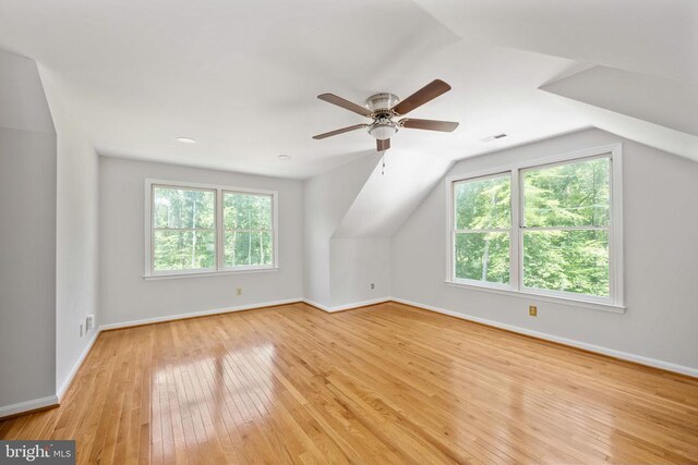 14807 Spotswood Furnace Rd, Fredericksburg, VA 22407 - photo 56