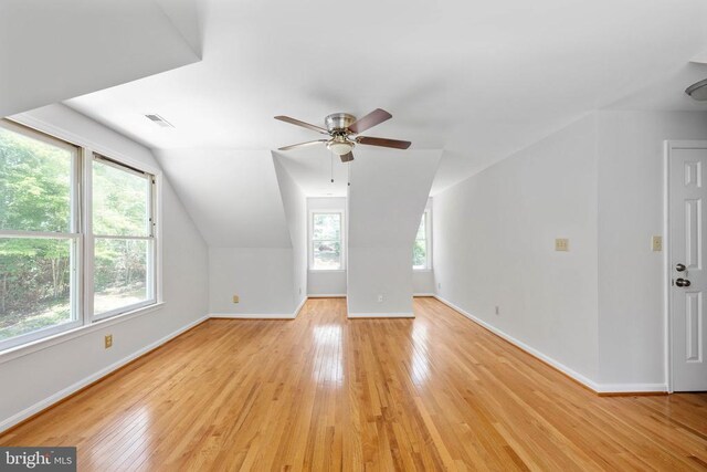 14807 Spotswood Furnace Rd, Fredericksburg, VA 22407 - photo 53