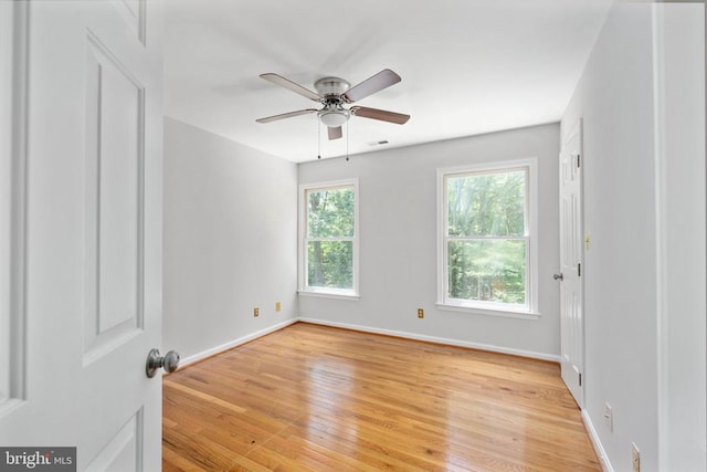 14807 Spotswood Furnace Rd, Fredericksburg, VA 22407 - photo 40