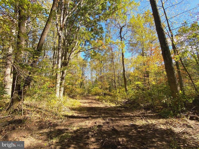 0 Castleton View Rd, Castleton, VA 22716