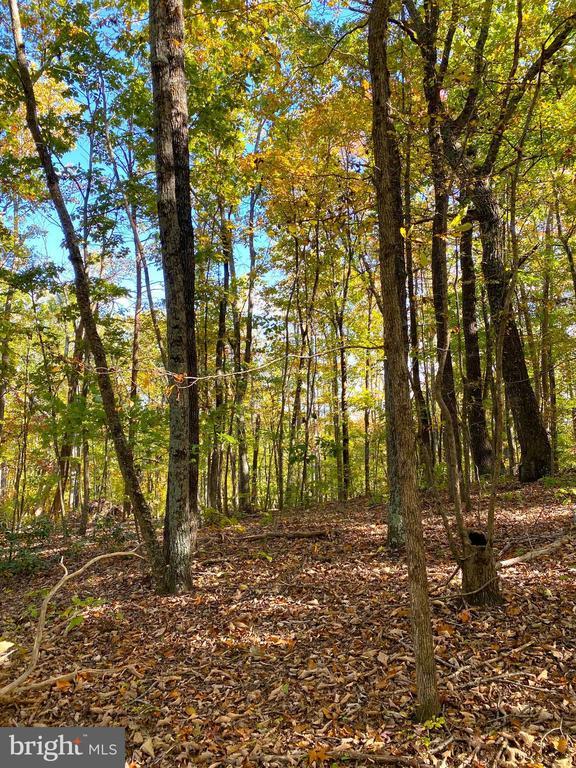 0 Castleton View Rd, Castleton, VA 22716