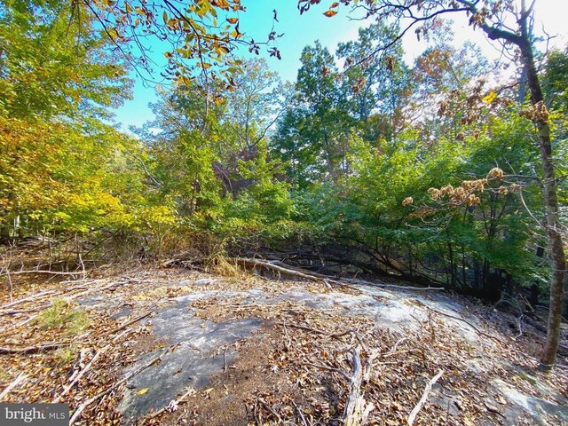 0 Castleton View Rd, Castleton, VA 22716