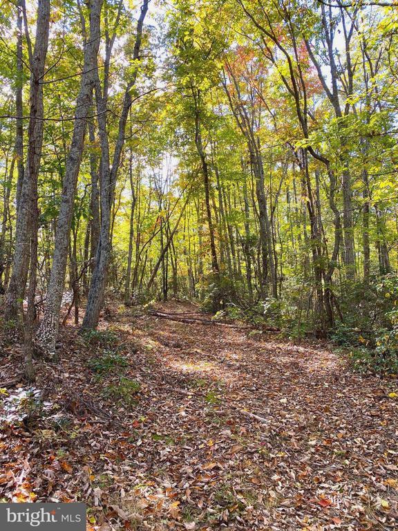 0 Castleton View Rd, Castleton, VA 22716