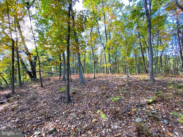 0 Castleton View Rd, Castleton, VA 22716