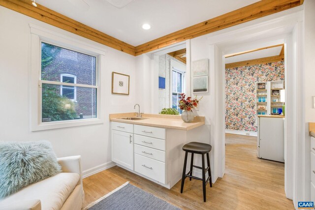 113 Altamont Cir, Charlottesville, VA 22902 - bar featuring a sink, light wood-type flooring, recessed lighting, a wealth of natural light, and baseboards