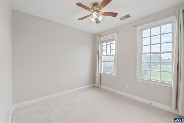 219 Grass Dale Ln, Crozet, VA 22932 - photo 33