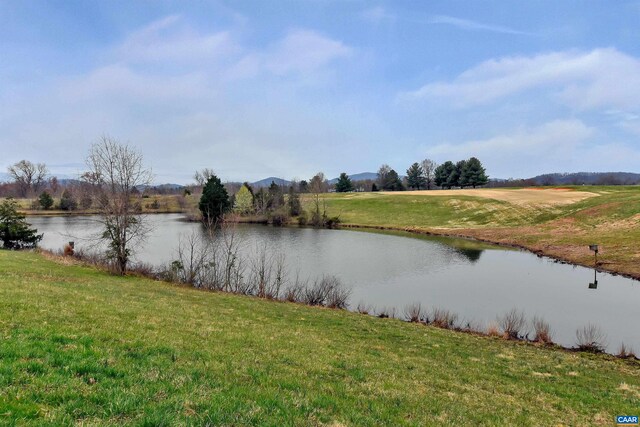 219 Grass Dale Ln, Crozet, VA 22932 - photo 51