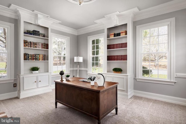  - office featuring carpet flooring and crown molding
