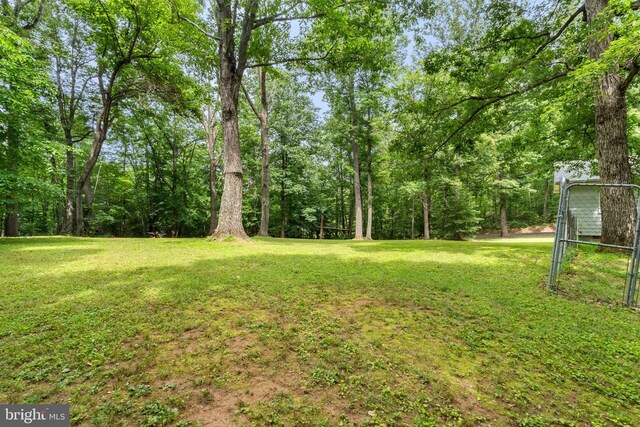 16297 Black Hill Rd, Rixeyville, VA 22737 - photo 32