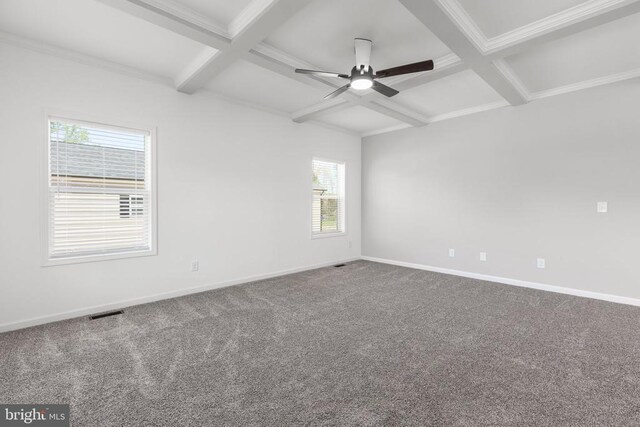820 Mineral Ave, Mineral, VA 23117 - photo 6