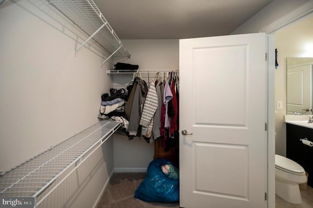 9323 Wood Creek Cir, Fredericksburg, VA 22407 - view of spacious closet