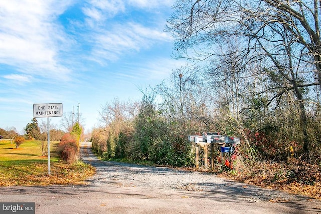 19196 Ferguson Ln, Jeffersonton, VA 22724 - view of street