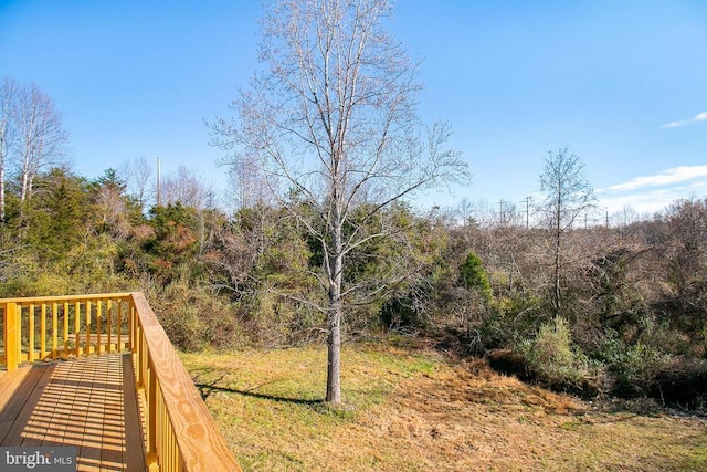 19196 Ferguson Ln, Jeffersonton, VA 22724 - view of yard