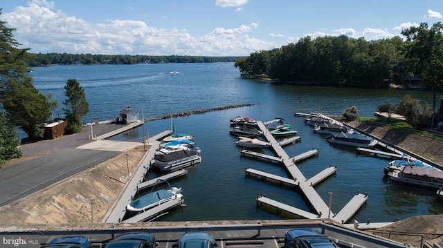 119 Birchside Cir, Locust Grove, VA 22508 - dock area with a water view
